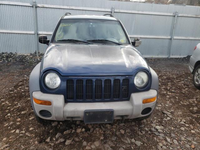 1J4GL48K13W627496 - 2003 JEEP LIBERTY BLUE photo 5