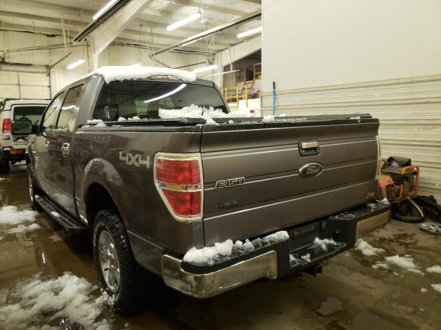 1FTFW1EV2AKB16194 - 2010 FORD F-150 GRAY photo 2