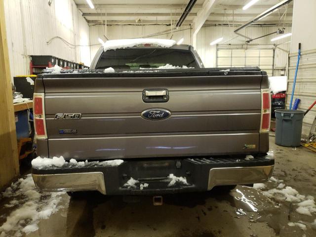 1FTFW1EV2AKB16194 - 2010 FORD F-150 GRAY photo 6