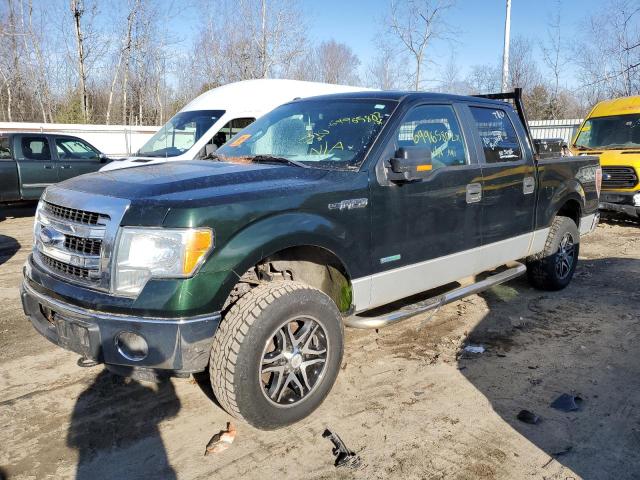 1FTFW1ET9DFA97509 - 2013 FORD F150 SUPER GREEN photo 1