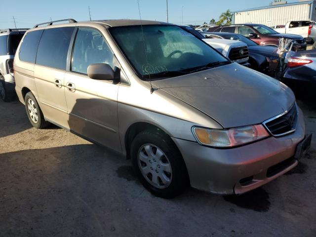 2HKRL18902H568178 - 2002 HONDA ODYSSEY EX BEIGE photo 4