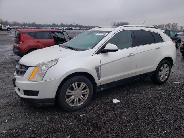 3GYFNDEY5AS517445 - 2010 CADILLAC SRX PERFOR WHITE photo 1