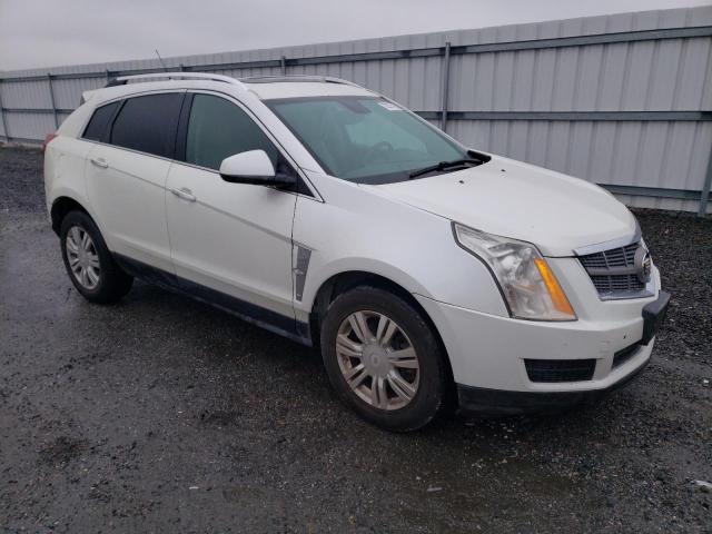 3GYFNDEY5AS517445 - 2010 CADILLAC SRX PERFOR 白色 照片 4