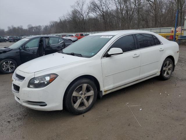 1G1ZC5E18BF105763 - 2011 CHEVROLET MALIBU 1LT 白色 照片 1