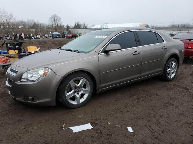 1G1ZC5EB2AF247923 - 2010 CHEVROLET MALIBU 1LT 棕色 照片 1