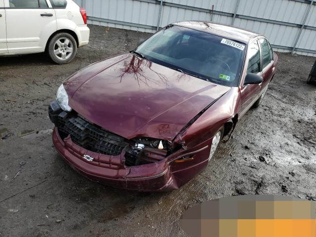 2G1WL52M3V9250482 - 1997 CHEVROLET LUMINA BAS ბურგუნდია ფოტო 1