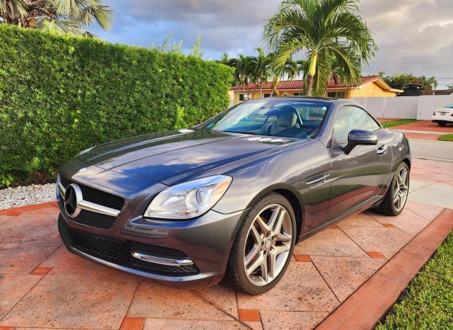 WDDPK4HA1EF078181 - 2014 MERCEDES-BENZ SLK 250 GRAY photo 1