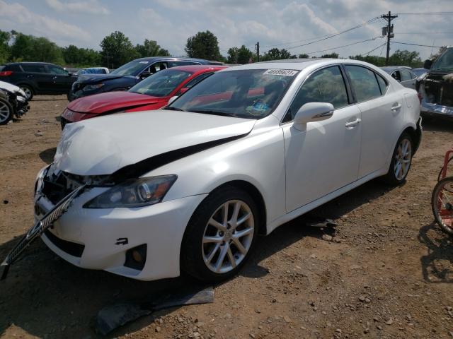 JTHCF5C24D5061896 - 2013 LEXUS IS 250 WHITE photo 2