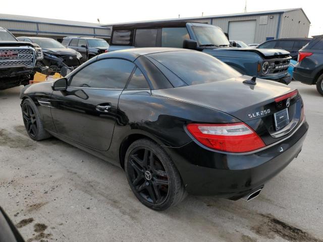 WDDPK4HA0DF069552 - 2013 MERCEDES-BENZ SLK 250 BLACK photo 2