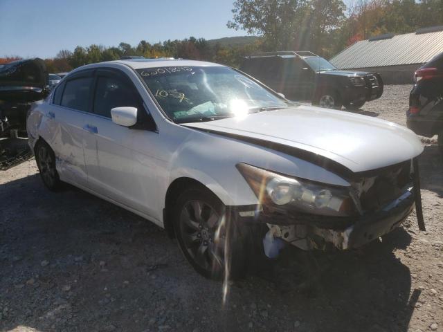 1HGCP36868A049038 - 2008 HONDA ACCORD EXL WHITE photo 1