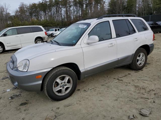 KM8SC13E23U473727 - 2003 HYUNDAI SANTA FE G WHITE photo 1