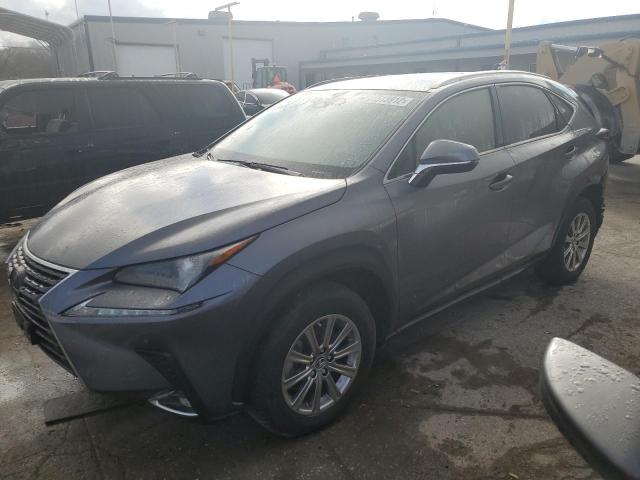 JTJDARDZ6M2252502 - 2021 LEXUS NX 300 BAS GRAY photo 1