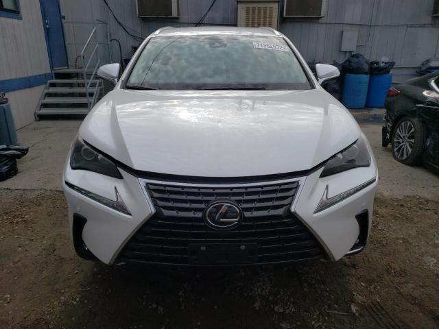 JTJDARBZ3M5035698 - 2021 LEXUS NX 300 BAS 白色 照片 5