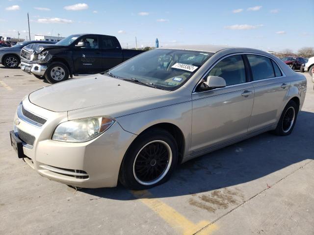 1G1ZH57B294268518 - 2009 CHEVROLET MALIBU 1LT თაფლისფერი ფოტო 1
