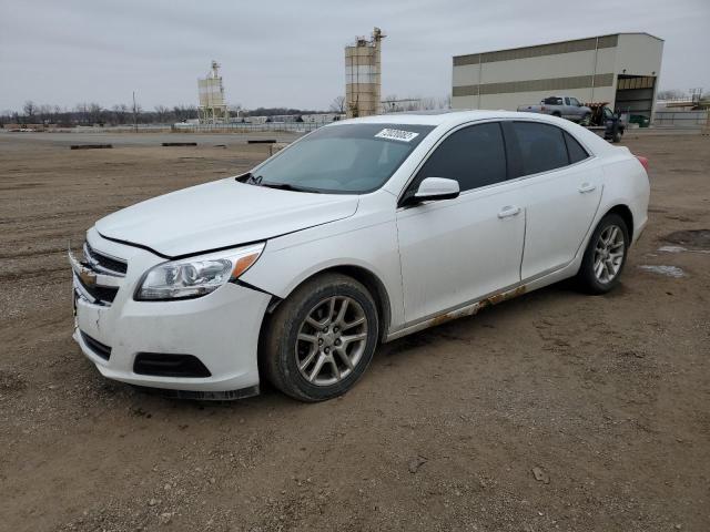 1G11D5RR2DF116240 - 2013 CHEVROLET MALIBU 1LT 白色 照片 1