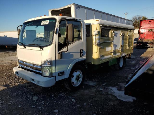 54DC4W1C6DS800921 - 2013 ISUZU NPR HD WHITE photo 1