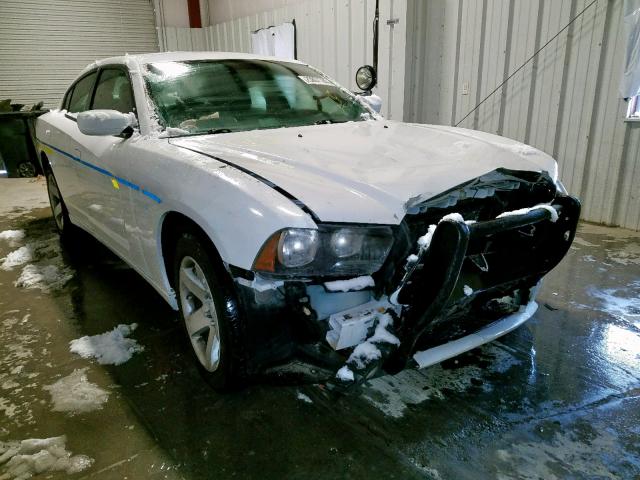 2B3CL1CT5BH600710 - 2011 DODGE CHARGER POLICE  photo 1