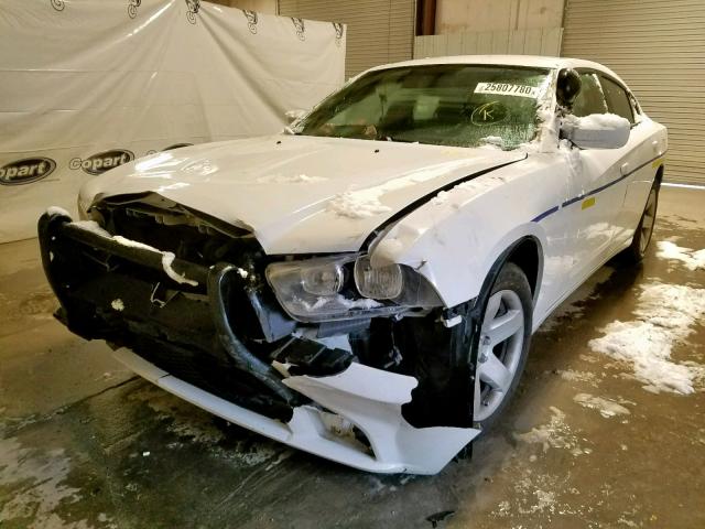 2B3CL1CT5BH600710 - 2011 DODGE CHARGER POLICE  photo 2