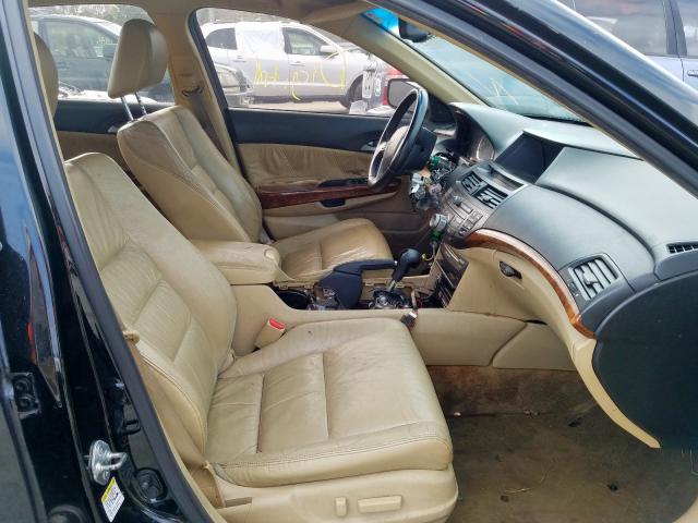 5KBCP3F86BB003143 - 2011 HONDA ACCORD EXL  photo 5