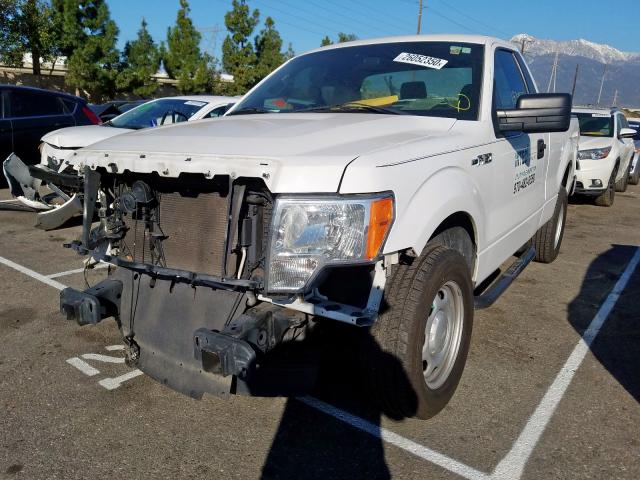 1FTMF1CMXDFC76712 - 2013 FORD F150  photo 2