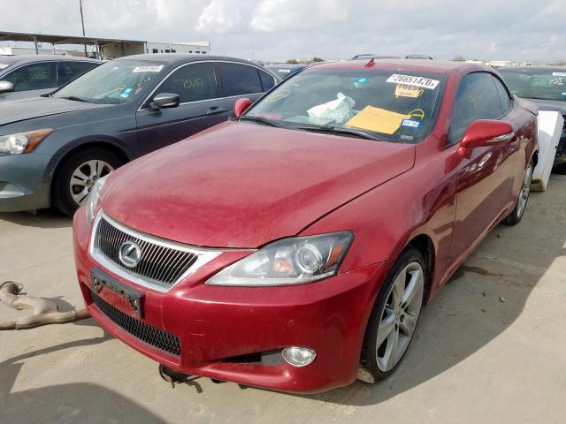 JTHFF2C2XC2526404 - 2012 LEXUS IS 250  photo 2