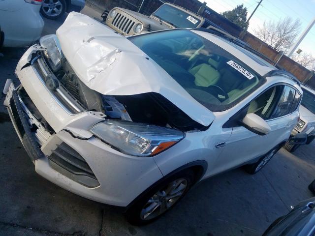 1FMCU9H9XDUD77759 - 2013 FORD ESCAPE SEL  photo 2