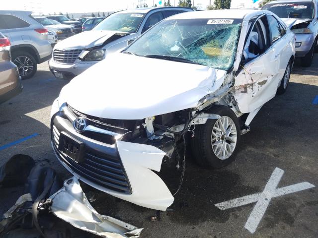 4T4BF1FK4GR581979 - 2016 TOYOTA CAMRY LE  photo 2