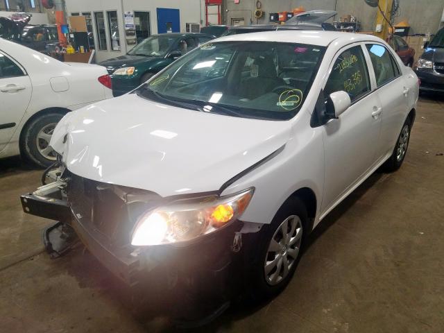 1NXBU4EE0AZ168784 - 2010 TOYOTA COROLLA BASE  photo 2