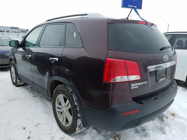 5XYKTCA12BG155803 - 2011 KIA SORENTO BASE  photo 3