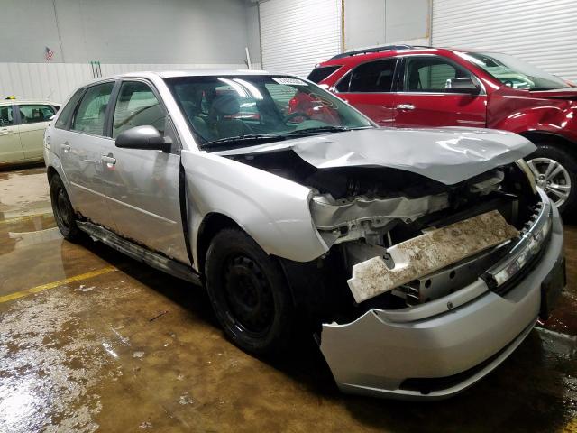 1G1ZT628X5F187815 - 2005 CHEVROLET MALIBU MAXX LS  照片 1