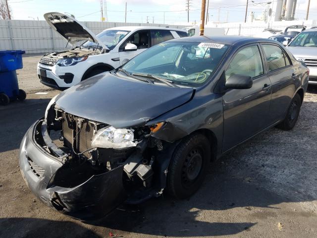 2T1BU4EE8AC442976 - 2010 TOYOTA COROLLA BASE  photo 2