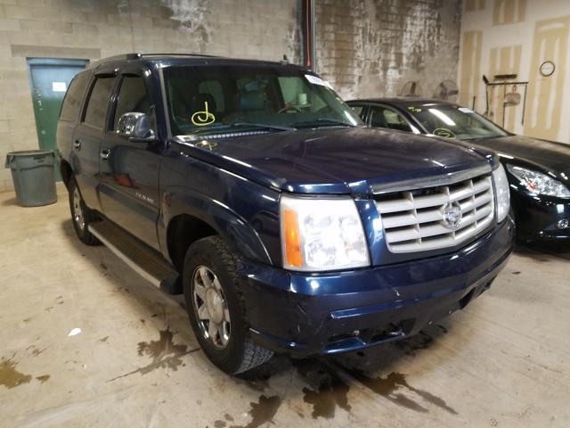 1GYEK63N06R146195 - 2006 CADILLAC ESCALADE LUXURY  photo 1