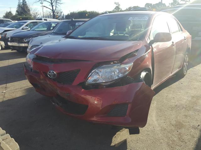 JTDBL40E999056482 - 2009 TOYOTA COROLLA BASE  foto 2