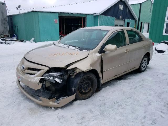 2T1BU4EE5BC555561 - 2011 TOYOTA COROLLA BASE  照片 2