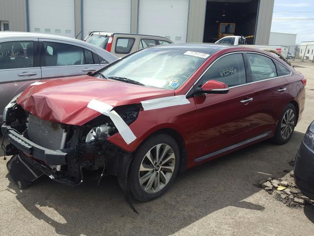 5NPE34AF7GH374979 - 2016 HYUNDAI SONATA SPORT  Foto 2