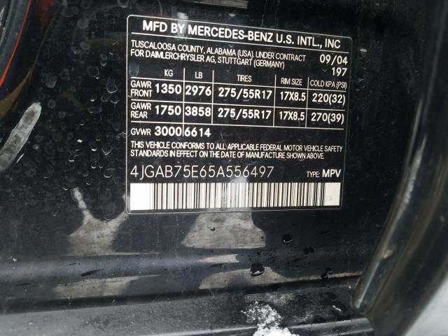 4JGAB75E65A556497 - 2005 MERCEDES-BENZ ML 500  photo 10