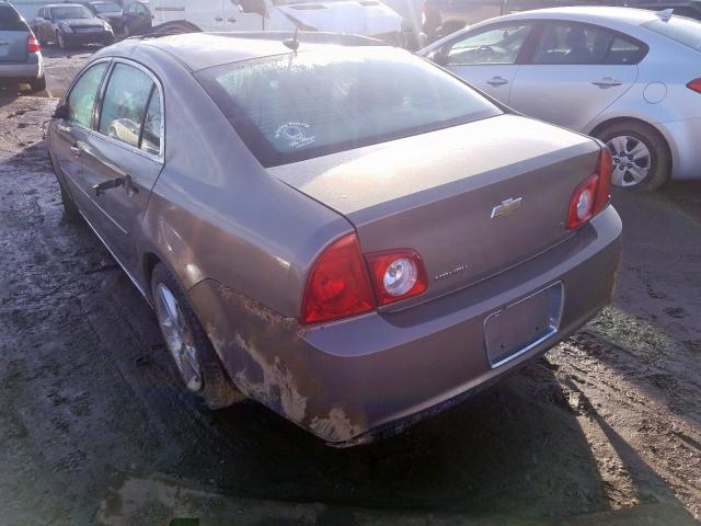 1G1ZH57B38F276663 - 2008 CHEVROLET MALIBU 1LT  照片 3