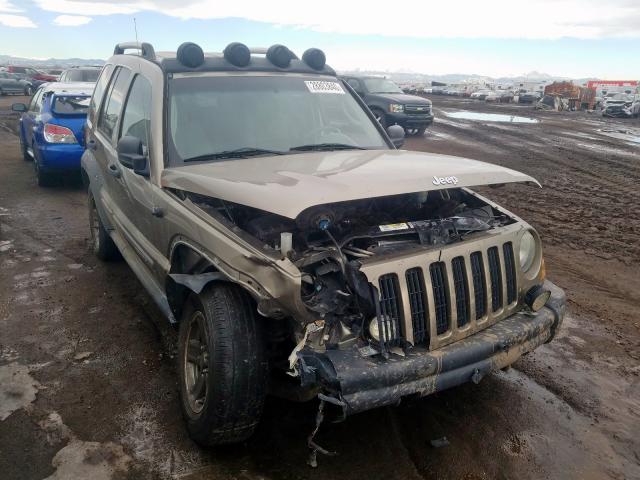 1J4GL38K95W709828 - 2005 JEEP LIBERTY RENEGADE  photo 1