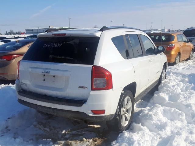 1J4NT4FB3BD139462 - 2011 JEEP COMPASS  photo 4