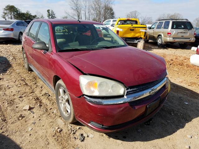 1G1ZT64805F276824 - 2005 CHEVROLET MALIBU MAXX LS  photo 1