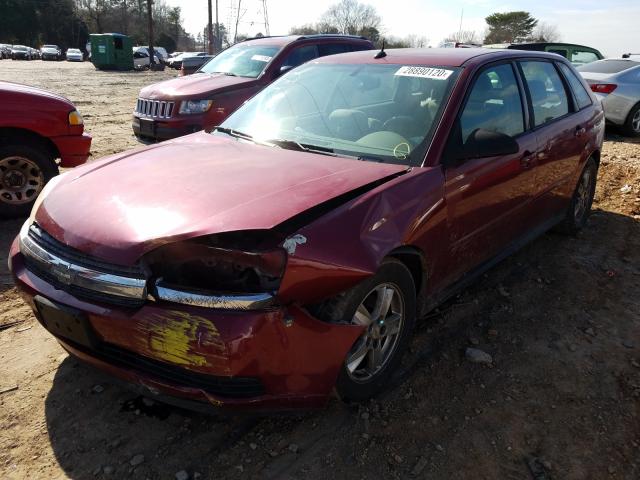 1G1ZT64805F276824 - 2005 CHEVROLET MALIBU MAXX LS  photo 2