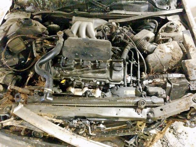 4T1BF22K3XU933360 - 1999 TOYOTA CAMRY LE  photo 7