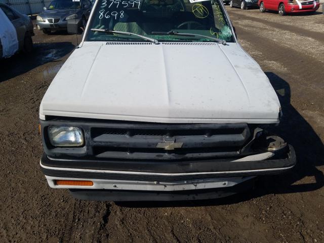 1GCCS14ZXP8198698 - 1993 CHEVROLET S TRUCK S10  photo 7