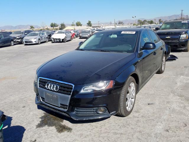 WAULK78K29N007986 - 2009 AUDI A4 3.2 QUATTRO  photo 2