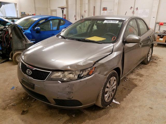 KNAFU4A29C5546807 - 2012 KIA FORTE EX  photo 2