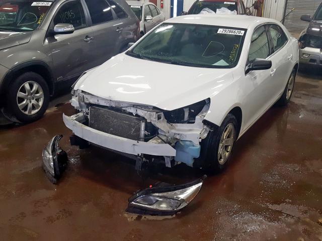 1G11B5SA9DF143137 - 2013 CHEVROLET MALIBU LS  photo 2