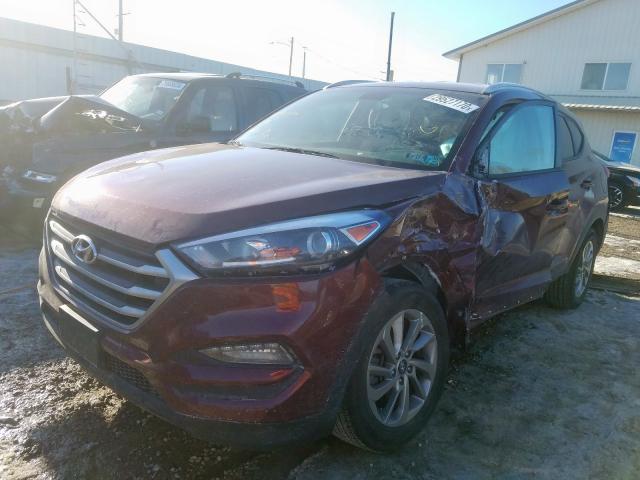 KM8J3CA48HU453734 - 2017 HYUNDAI TUCSON LIMITED  photo 2