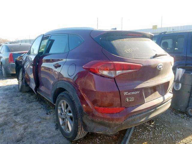 KM8J3CA48HU453734 - 2017 HYUNDAI TUCSON LIMITED  photo 3