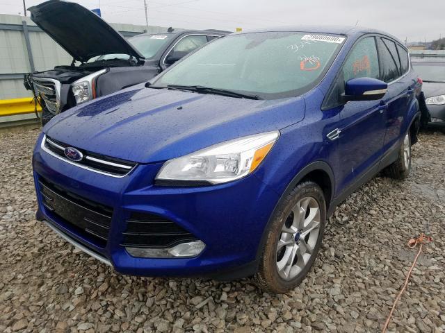 1FMCU9H96DUC73544 - 2013 FORD ESCAPE SEL  photo 2