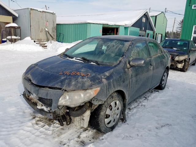 2T1BU40E39C087332 - 2009 TOYOTA COROLLA BASE  photo 2